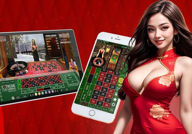 Wild và Scatter khác nhau ở đâu cùng TD88